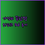 가성비 끝판왕 에어팟 대체 이어폰 추천.. 와피크 R6 후기까지?