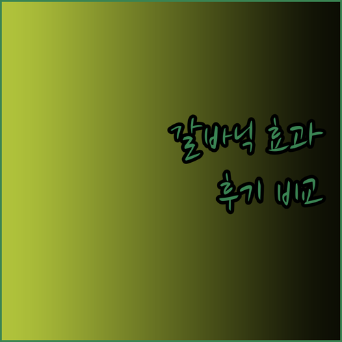 갈바닉 마사지기 효과 대박? 5가지 제품 비교 분석과 솔직 후기