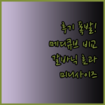 후기 폭발! 메디큐브 부스터 프로 미니와 갈바닉 마사지기 비교분석!