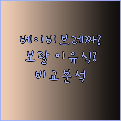 베이비브레짜 vs 보랄 이유식 메이커? 어떤 제품이 더 나을까요.. 장단점 비교분석