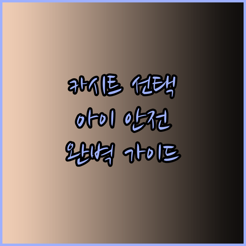 아이의 안전과 편안함을 위한 주니어 카시트 선택 가이드는 이것으로 충분할까?
