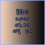 고양이가 폭풍흡입하는 캐츠랑 사료 5점 만점의 비밀..?